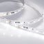 Светодиодная лента RT-20000 24V White6000 (3528, 60 LED/m, 20m) Arlight 1